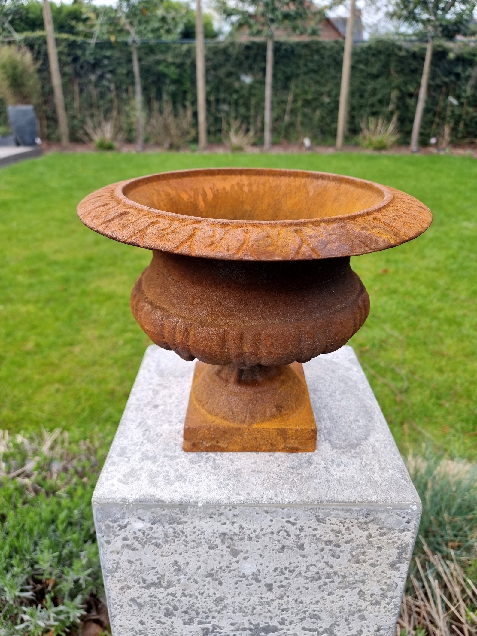 Cast Iron Flower Pot Garden Vase Cast Iron Jardinière Etsy
