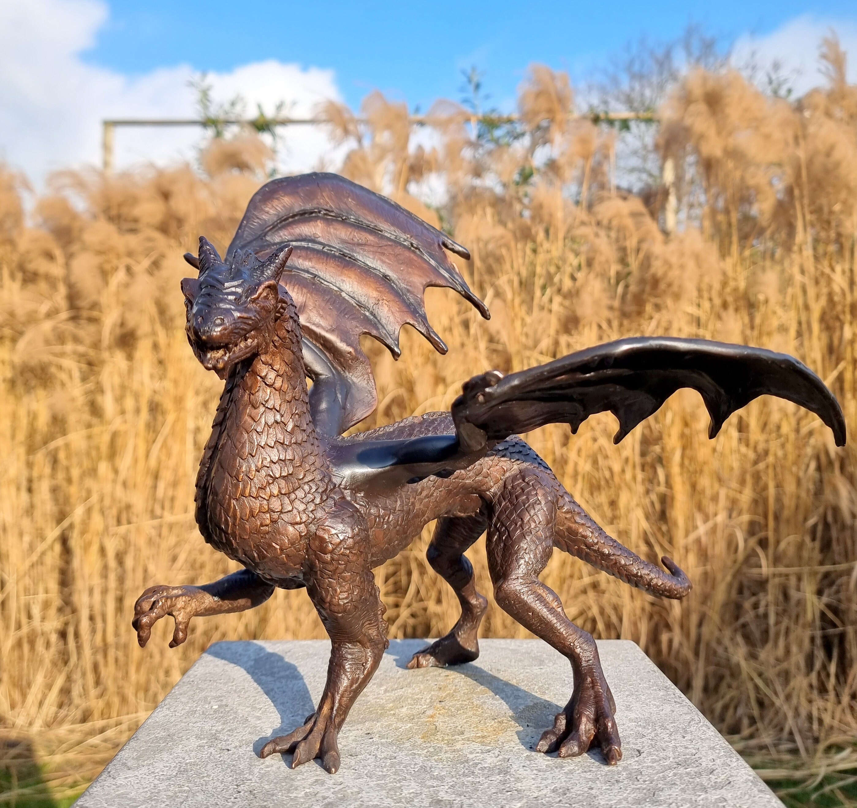 Bronze dragon Very beautiful bronze sculpture fantasy art sculpture