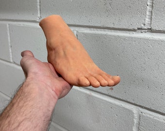 May include: A realistic-looking, flesh-toned, human foot model. The foot is posed as if it is being held in someone's hand.