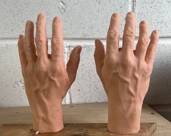 May include: Two realistic-looking hands made of silicone, with detailed veins and fingernails, are mounted on a wooden base. The hands are positioned with palms facing outward, as if in a gesture of offering.