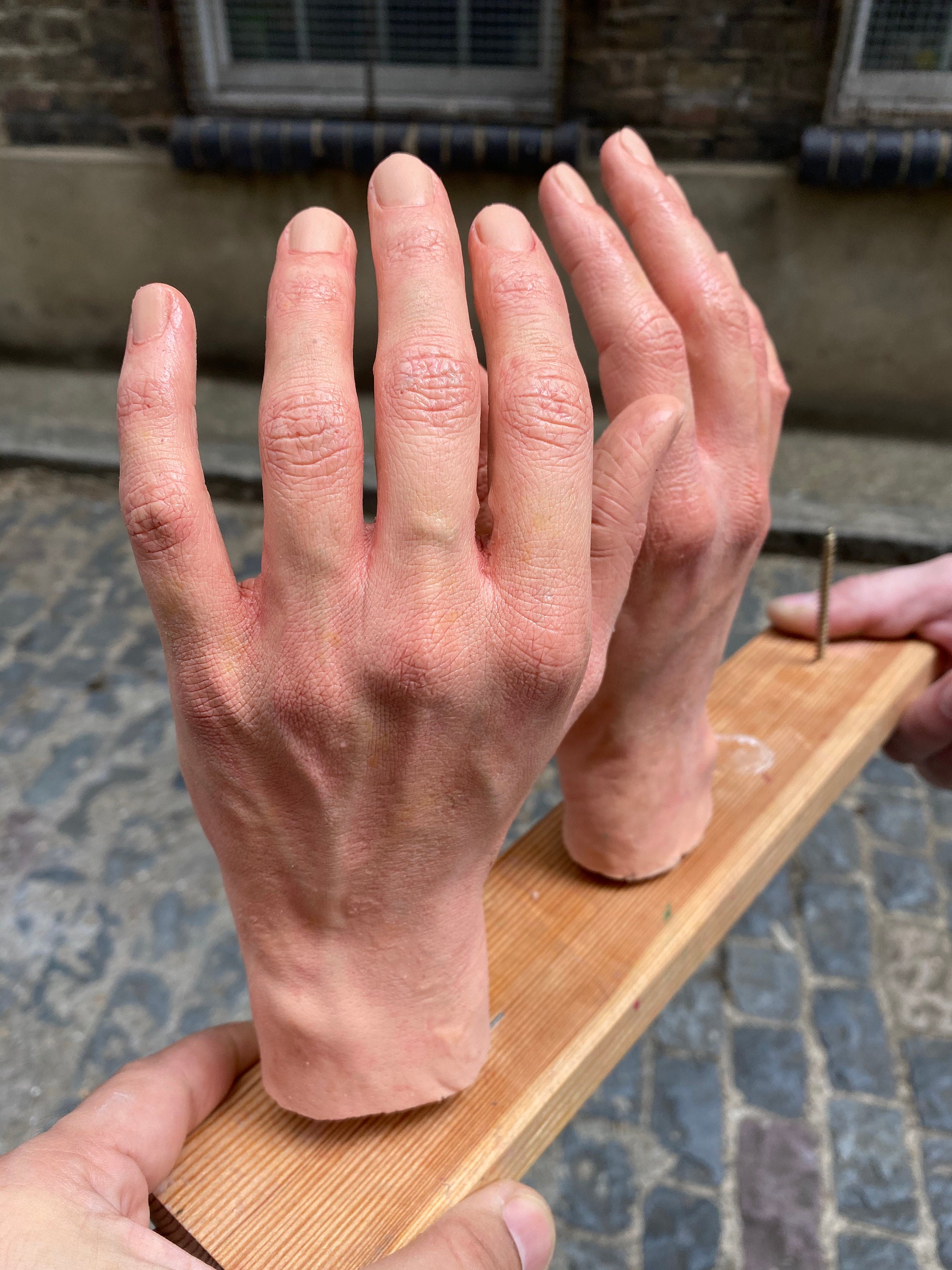 Realistic Silicone Pair of Hands 