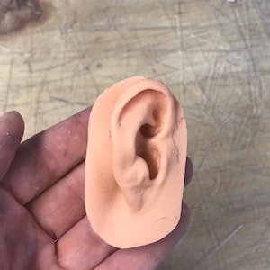 Peut inclure: Un moule d'oreille en silicone de couleur chair. Le moule est détaillé et réaliste, reproduisant la forme et la texture d'une oreille humaine.