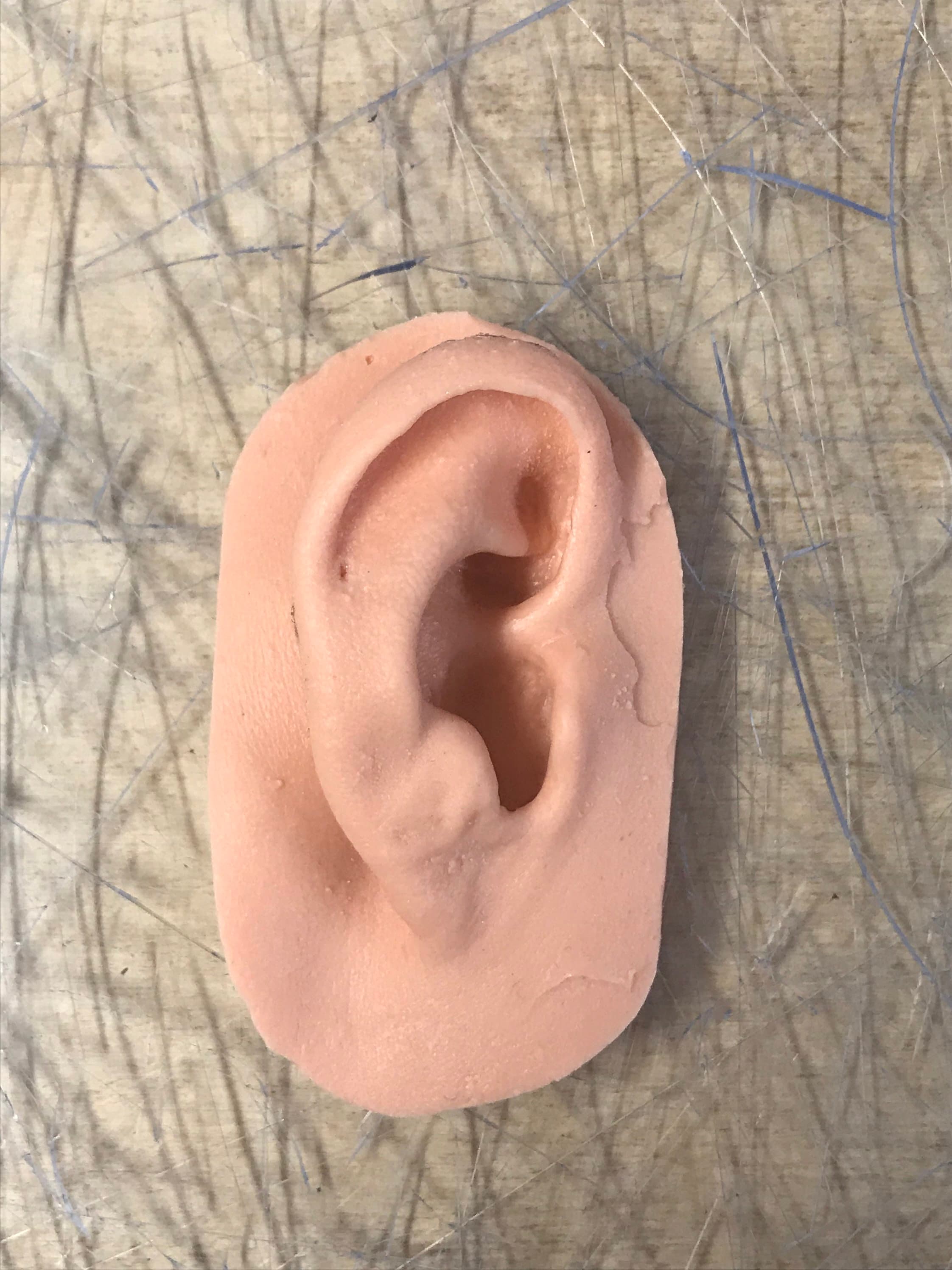 Realistic Silicone Right Ear - Etsy
