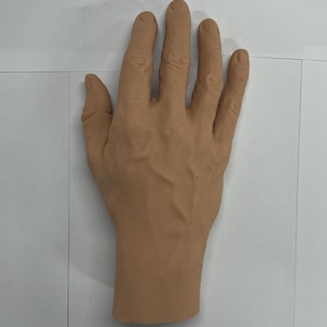 Könnte beinhalten: Eine hellbraune Prothesenhand mit sichtbaren Venen und detaillierter Hautstruktur. Die Hand befindet sich in einer offenen Position, die Finger sind leicht gekrümmt. Der Hintergrund ist schlicht weiß.