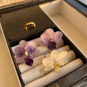 echter mini Phalaenopsis Orchideen Ring