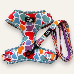 On the Bright Side - Adjustable dog harness and leash set. lead, dog harness , harness set, bright, colourful, happy, dog walk, lead, collar