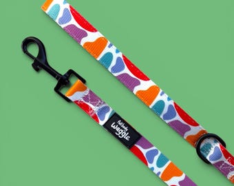 Rainbow Dog Leash:  ‘On the Bright Side’ Colorful Padded Handle, 1.5 Meter Lead