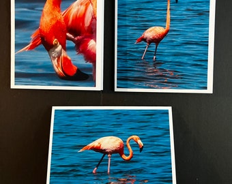 Flamingo Note Cards with Envelopes