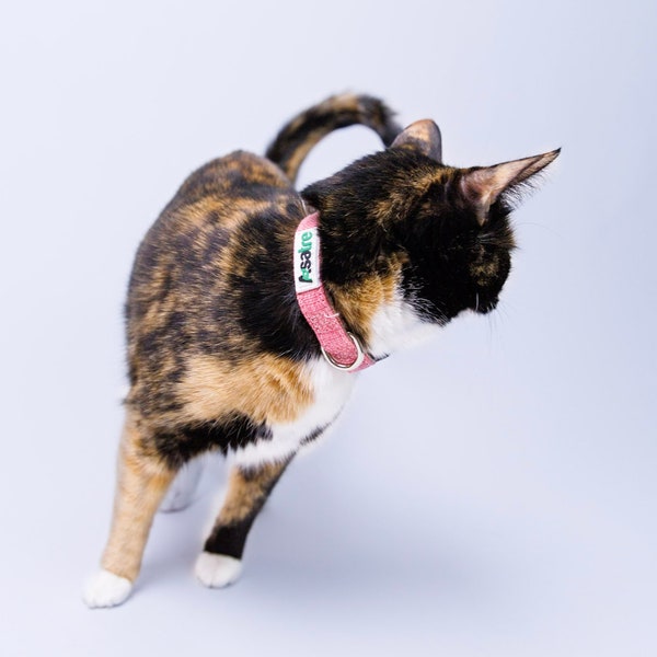 Cat Collar, Hemp Breakaway Cat Collar,  Adjustable Kitten Collar, Eco-friendly Breakaway Clasp Cat Collar