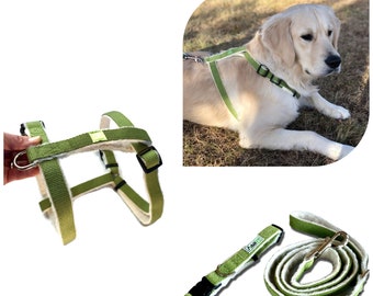 Hemp Dog Harness, Collar & Leash Set|Green Dog Collar Harness Bundle