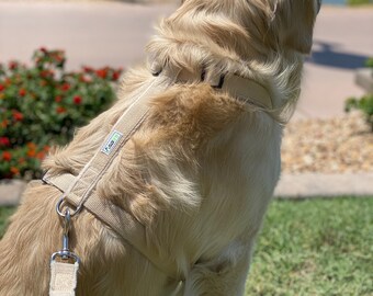 leather dog harnesses for sale