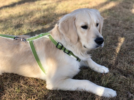 Planet dog cozy hemp adjustable harness hotsell