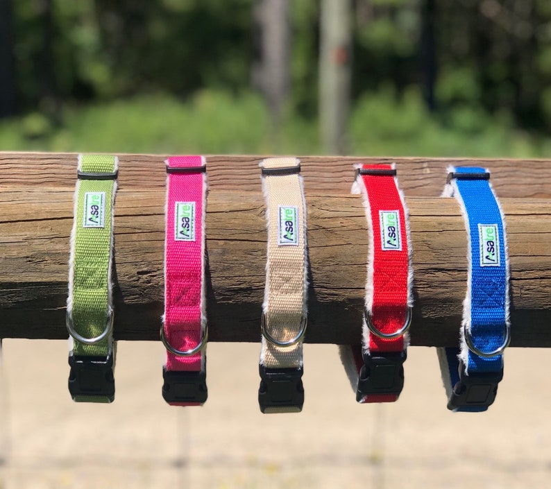 Hemp Dog Collar Red, Blue, Pink, Brown, Beige, Green, Black by Asatre S-XL Red