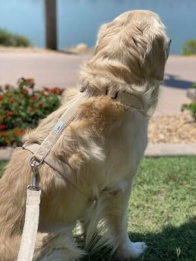 Hemp Dog Harness, Adjustable Pet Harness by Asatre Red, Black, Beige, Brown, Pink or Green Beige