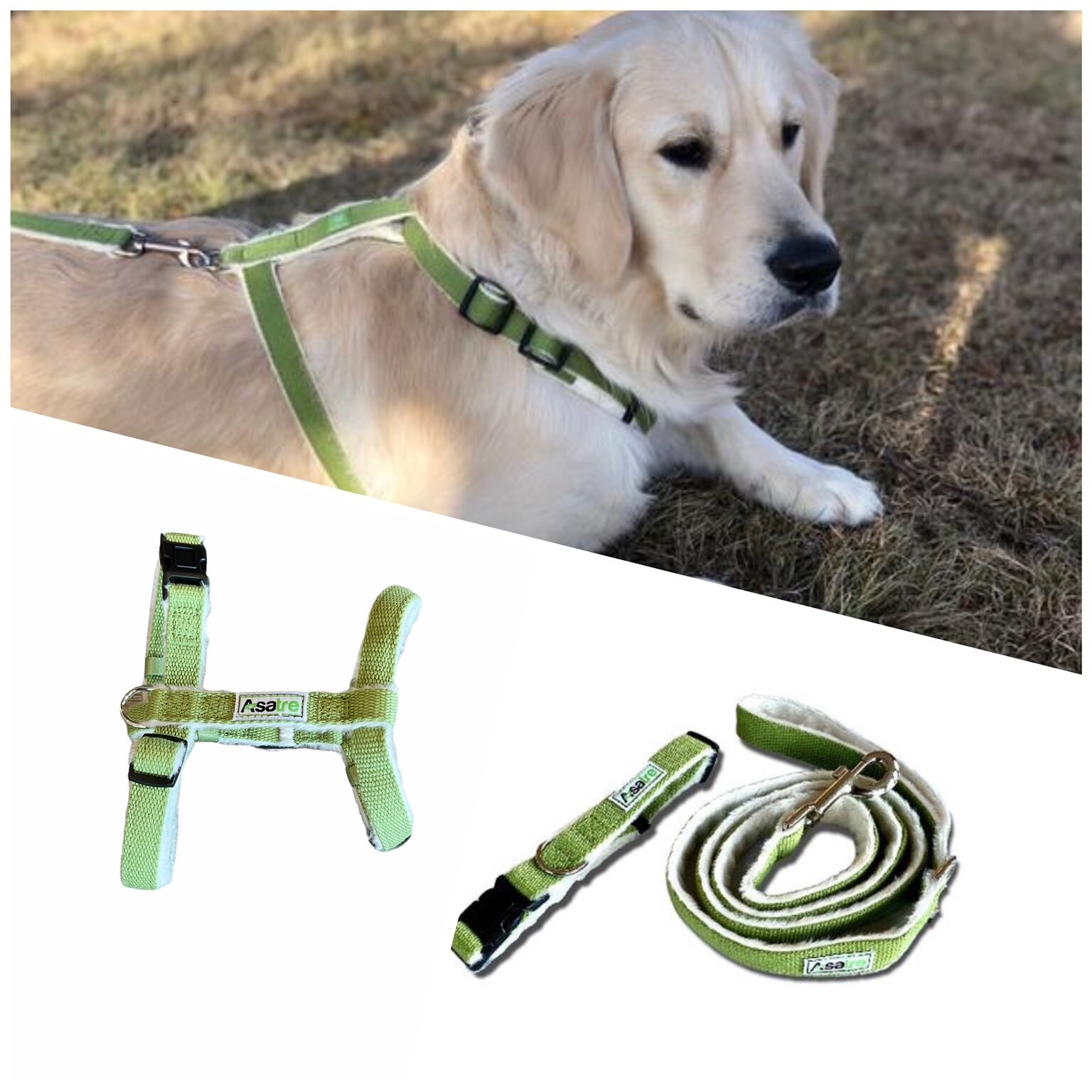 Hemp Dog Harness Collar & Leash Bundle Green Etsy