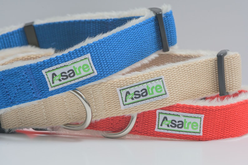 Hemp Dog Collar Red, Blue, Pink, Brown, Beige, Green, Black by Asatre S-XL Beige