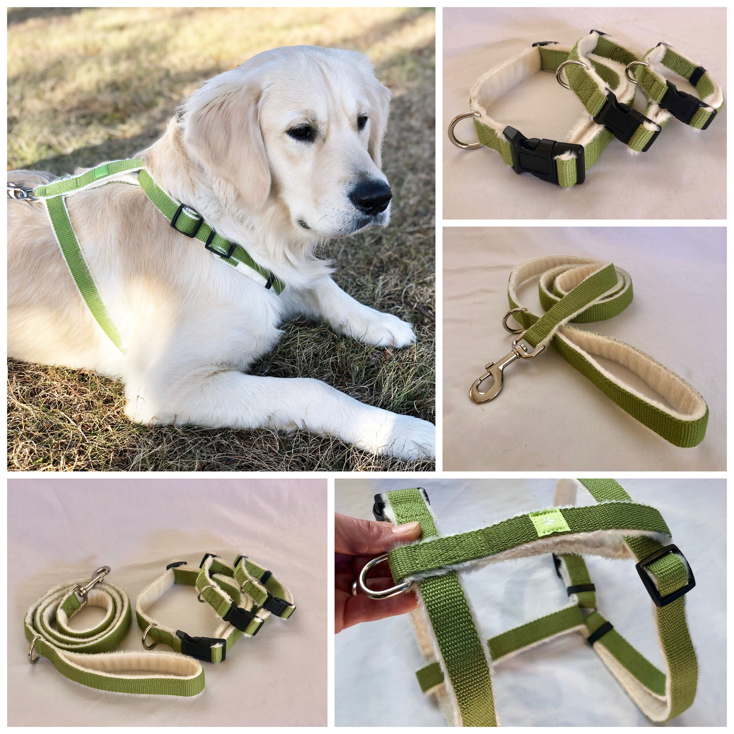 dog collar and harness set