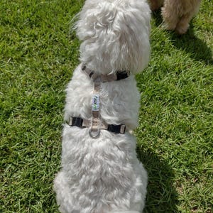 Hemp Dog Harness • Multi Clasp Fleece Lined Adjustable • Pet Harness • Back Clip Great Dane X Large • Canine Walking Eco Friendly • Asatre image 7