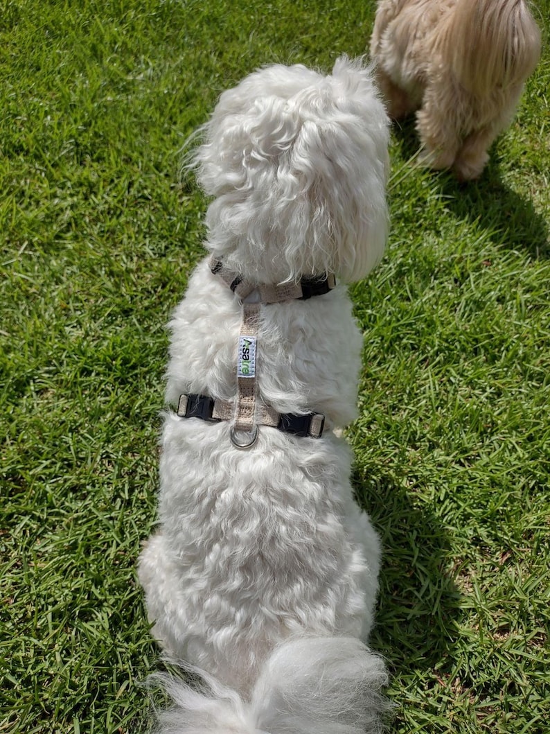 Hemp Dog Harness • Multi Clasp Fleece Lined Adjustable • Pet Harness • Back Clip Great Dane X Large • Canine Walking Eco Friendly • Asatre image 7