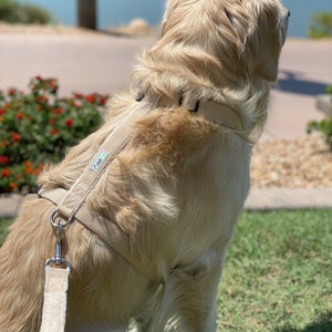 Hemp Dog Harness, Adjustable Beige Natural Pet Harness by Asatre