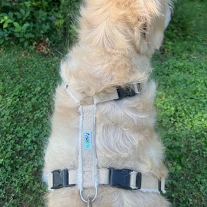 Adjustable Dog Harness Multi Clasp Design Secure Fit Technology Hemp Material Construction Durable Pet Gear Fleece Lined Comfort X Large Size Option Great Dane Appropriate Strong Support Structure Canine Walking Assistance Daily Wear
