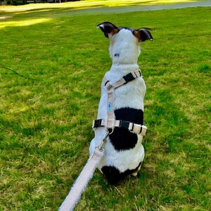 Hemp Dog Harness • Multi Clasp Fleece Lined Adjustable • Pet Harness • Back Clip Great Dane X Large • Canine Walking Eco Friendly • Asatre image 9