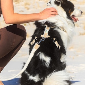 Hemp Dog Harness Eco Friendly Design Sustainable Pet Gear Fleece Lined Comfort Adjustable Vest System Multi Clasp Construction Great Dane Size X Large Fit Asatre Hemp Collection Hypoallergenic Material Canine Walking Support Natural Fiber
