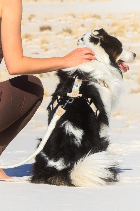 Hemp Dog Harness • Multi Clasp Fleece Lined Adjustable • Pet Harness • Back Clip Great Dane X Large • Canine Walking Eco Friendly • Asatre