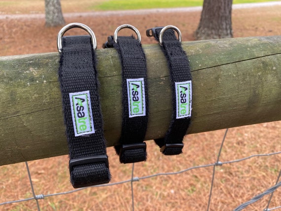 hypoallergenic collar