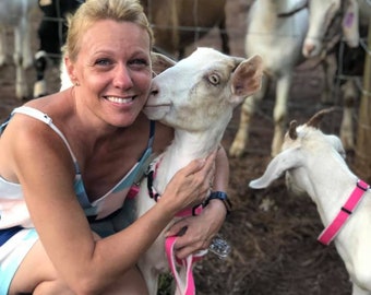 personalized goat collars