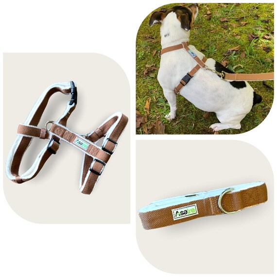 Planet dog hemp harness hotsell