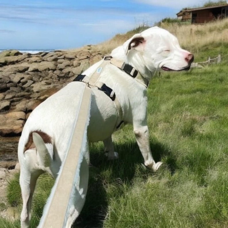 Hemp Dog Harness • Multi Clasp Fleece Lined Adjustable • Pet Harness • Back Clip Great Dane X Large • Canine Walking Eco Friendly • Asatre image 6
