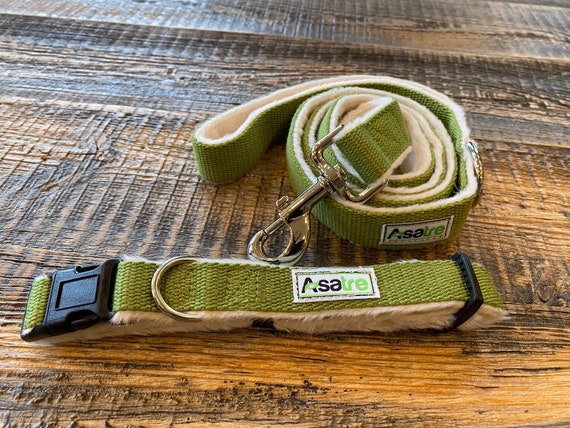 planet dog hemp collar