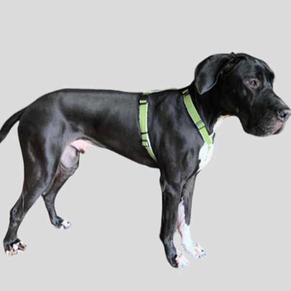 Hemp Dog Harness, Adjustable Green Pet Harness by Asatre