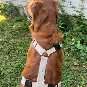 X Large Dog Harness Great Dane Size Adjustable Vest Design Hemp Material Construction Fleece Lined Interior Comfort Multi Clasp Security System Proper Fit Technology Strong Support Structure Canine Walking Assistance Durable Daily Wear Eco