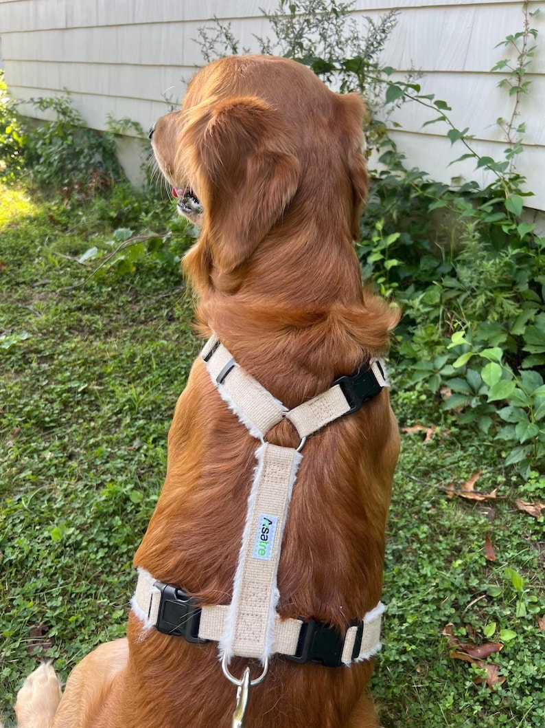 X Large Dog Harness Great Dane Size Adjustable Vest Design Hemp Material Construction Fleece Lined Interior Comfort Multi Clasp Security System Proper Fit Technology Strong Support Structure Canine Walking Assistance Durable Daily Wear Eco