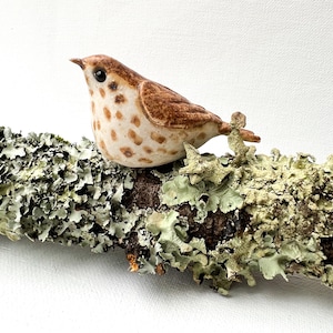 May include: A ceramic bird figurine with brown and cream speckled feathers perches on a lichen-covered branch. The bird has a brown head and a small, pointed beak. The branch is covered in green and grey lichen, creating a naturalistic scene.
