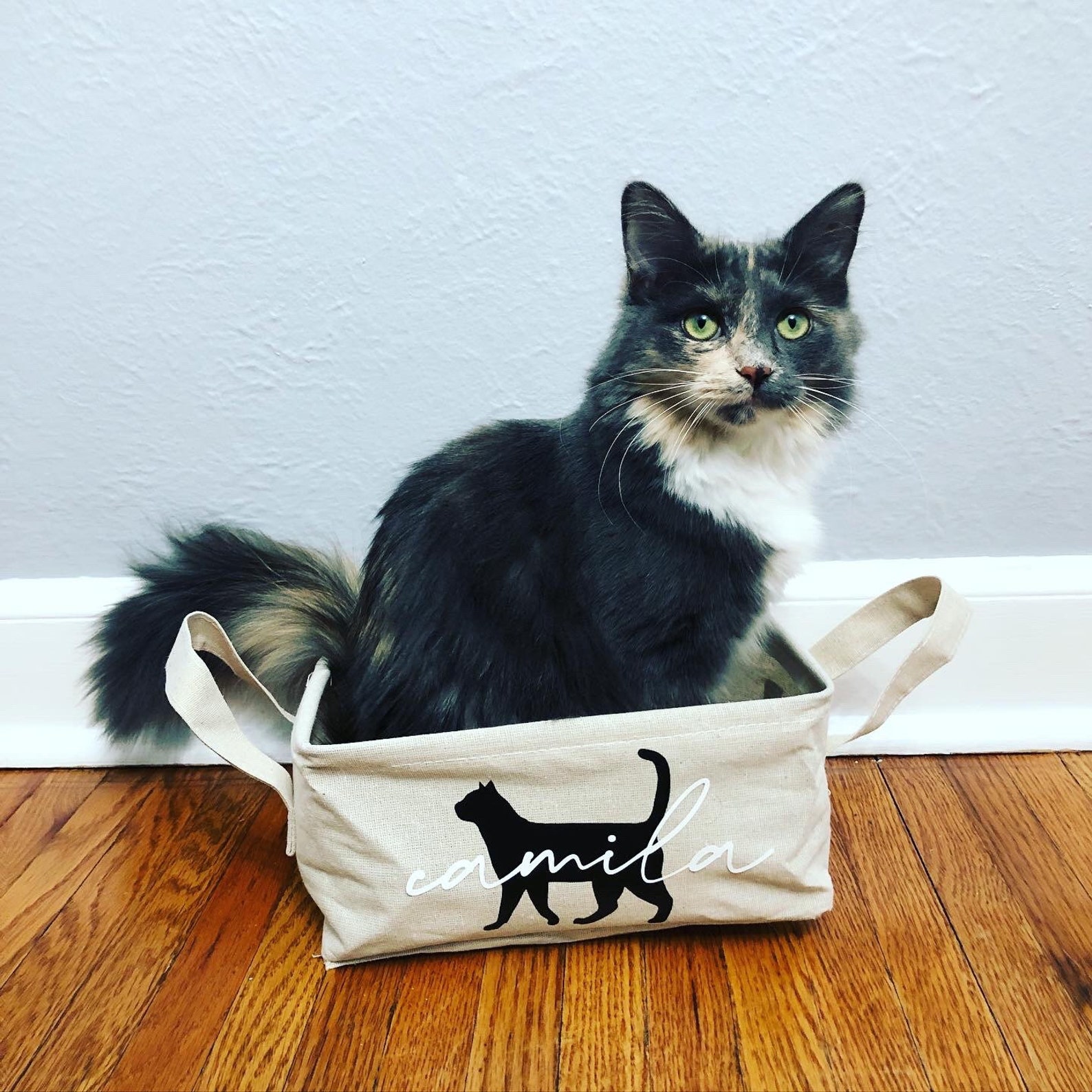 small cat toy basket