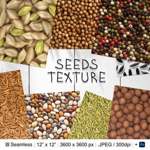 Könnte beinhalten: Eine digitale Collage aus verschiedenen Samentexturen, darunter braune, weiße, grüne und schwarze Samen. Die Collage ist mit "SEEDS TEXTURE" beschriftet und enthält den Text "Seamless 12" x 12" | 3600 x 3600 px.JPEG/300dpi + Ps".