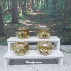 May include: Four small, clear glass jars with a fish skeleton encased inside, sitting on a white, two-tiered shelf. The jars have a ruffled rim and a golden-brown hue. The background is a blurred forest scene.