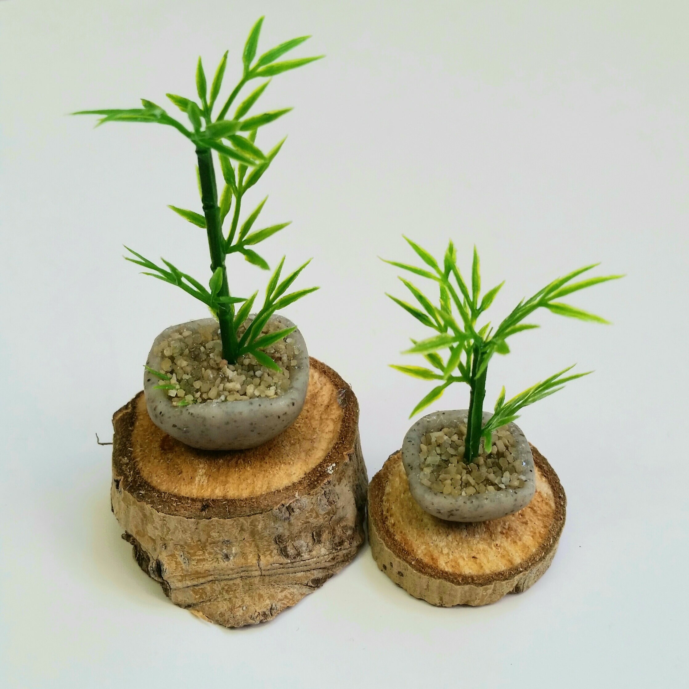 Miniature bamboo plants set of 2 fairy garden miniature Etsy
