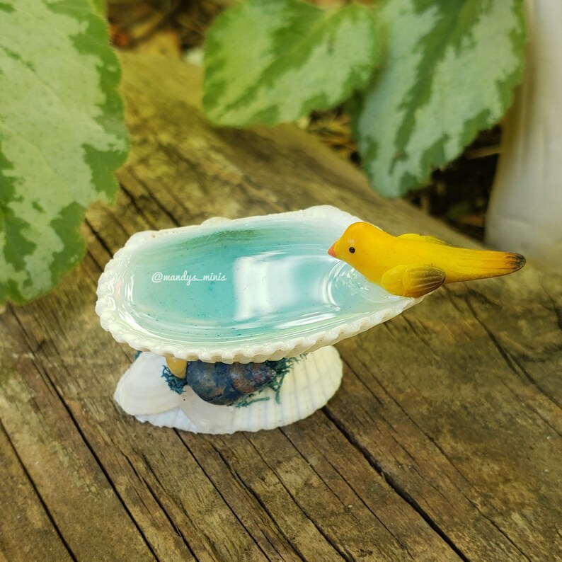 Hada jardín concha de mar baño de aves polímero arcilla | Etsy