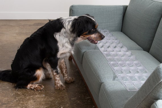 Couch Guard And Furniture Protectorskeep Dogs Safely Off Etsy