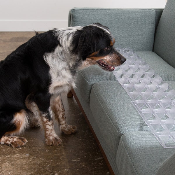 Couch Guard & Furniture Protectors;Keep Dogs SAFELY off Sofa, Couch, Chairs,and Furniture; Small,Med,or Large.