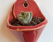 Succulent Planter, Ceramic Air Plant Holder, Modern Ceramic Planter, Air Plant Planter, Ceramic Plant Holder, Wall Decor, Gardener Gift