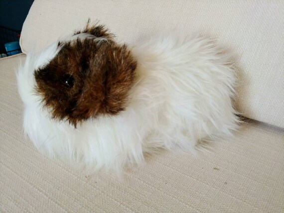 what do baby guinea pigs look like