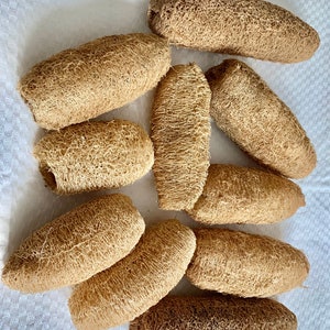 Bio-Natur-Luffa-Schwamm, Körperwäscher-Peeling Luffa, natürlicher Pflanzen-Peeling-Loofa-Schwamm für Männer und Frauen