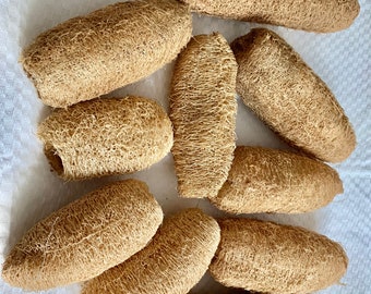 Organic Loofah Sponge: Natural Exfoliating Body Scrubber