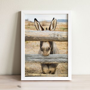 Impresión de burro, Foto de animales de granja, Foto de burro, Animal del desierto, Regalos de burro, Retrato de burro, Arte de pared de animales de granja