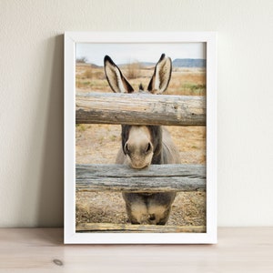 Donkey Print, Farm Animal Photo, Donkey Photo, Desert Animal, Donkey Gifts, Donkey Portrait, Farm Animal Wall Art